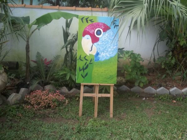 PINTURA EM TELA : PAPAGAIO